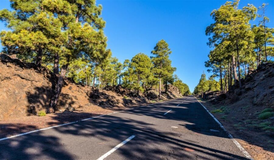 Teide: Guided Sunset & Stargazing Tour by Night with Dinner - Who Should Book This Teide by Night Tour