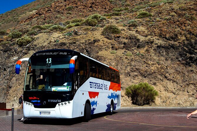 Teide National Park - Inside Teide National Park: Las Cañadas del Teide in real time