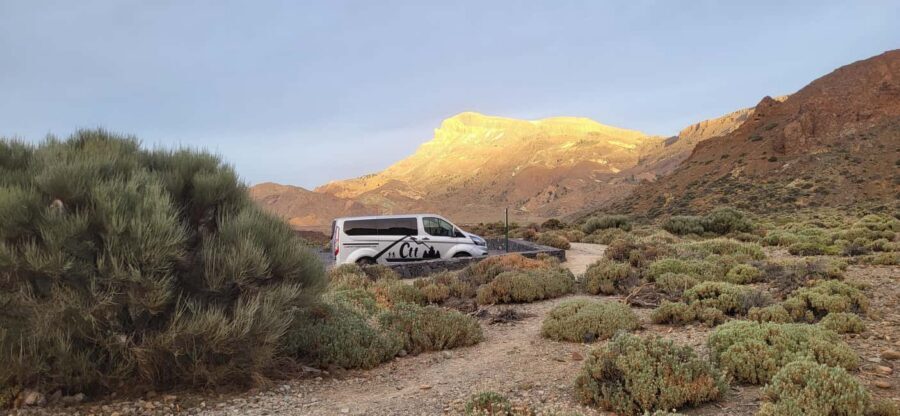 Teide National Park and Vilaflor ; local wine tasting - The Pine-Forest and Volcano Viewpoint on the Way Back