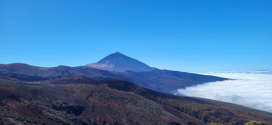 Teide National Park and Vilaflor ; local wine tasting - Price and Value: What You Get for Around $56