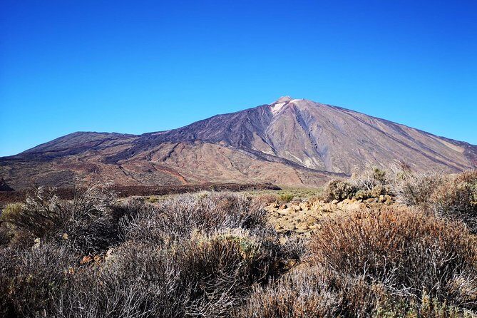 Teide National Park for smaller groups - El Pino Gordo: a short look at Tenerife’s older pine story