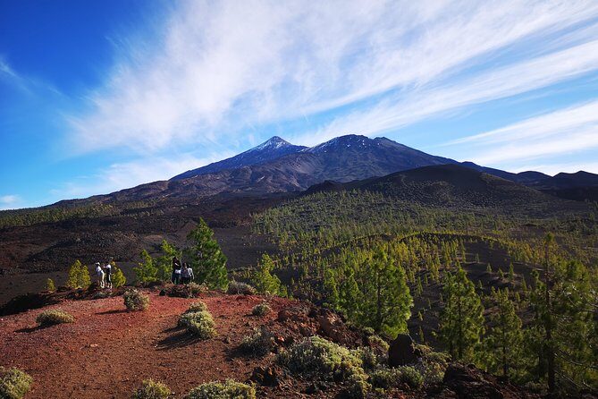 Teide National Park for smaller groups - Pickup, comfort, and what the 9:00 start means for your day