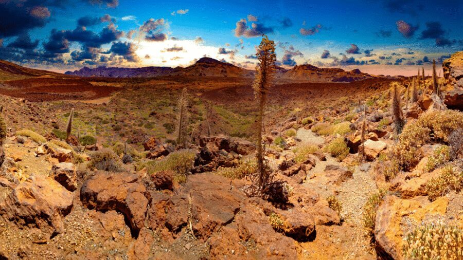 Teide National Park: Landscapes and Viewpoints Private Tour - Why Teide National Park Feels Otherworldly