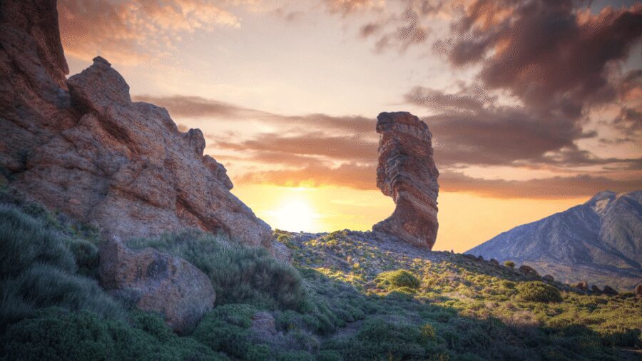 Teide National Park: Landscapes and Viewpoints Private Tour - A Private 8-Seat Tour That Actually Lets You Enjoy the Stops