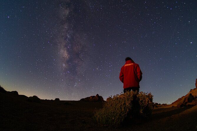 Teide National Park: Stargazing Experience - Who this is best for, and who might want a different option