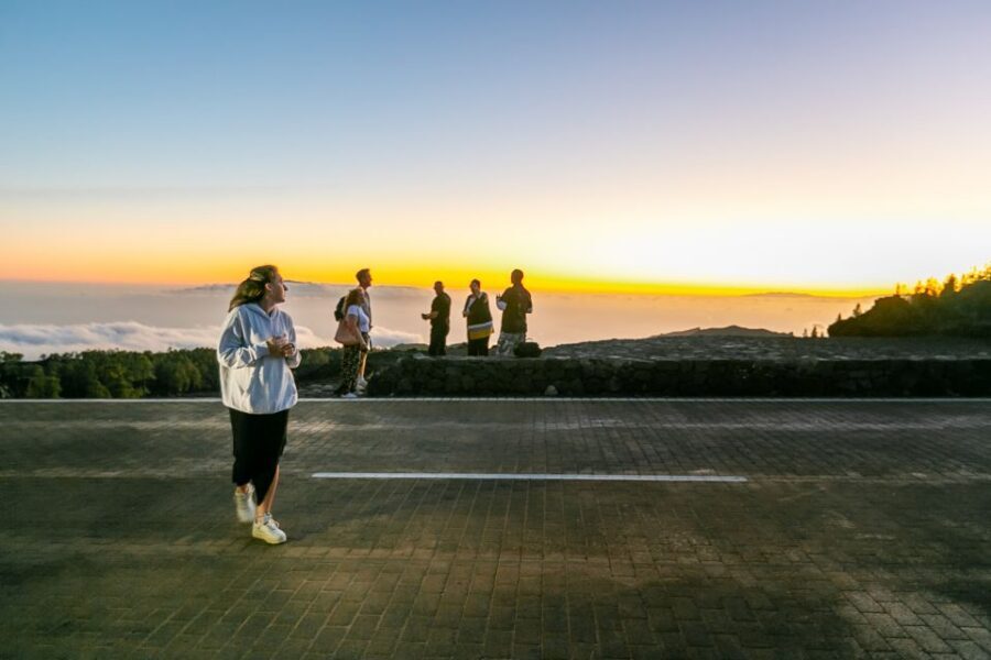 Teide National Park: Sunset & Stargazing Safari with Dinner - Price and value: is $65 worth it for Teide stargazing?