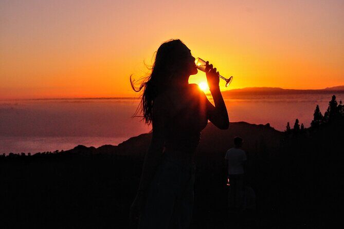 Teide National Park Sunset & Stargazing with Dinner (Star Safari) - Key moments worth showing up for