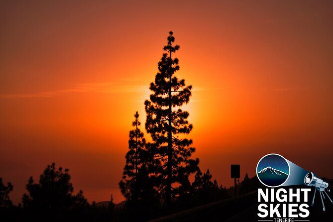Teide National Park Sunset & Stargazing with Dinner (Star Safari) - Pickup, coach setup, and the English-only detail
