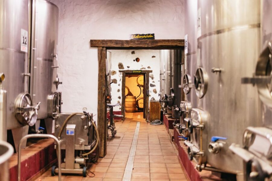 Teide Night Experience with Dinner and Stargazing - Vilaflor Dinner at Bodegas Reverón: Real Canarian Comfort Food