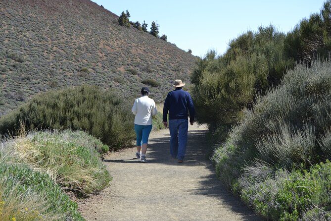 TEIDE: VIP tour - Mirador de Montaña Grande: the quick intro view that sets the stage