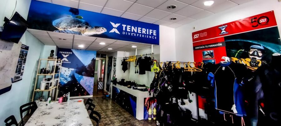 Tenerife: 2-Dive Private Scuba Discovery Course - Key Points That Matter Most