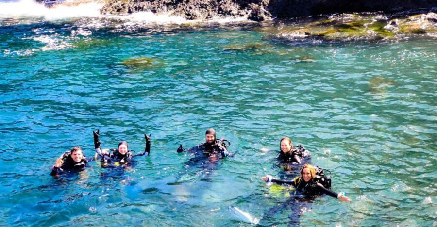 Tenerife: 2-Dive Private Scuba Discovery Course - What You’re Actually Buying in Tenerife: Two Sessions Plus a Certification Card
