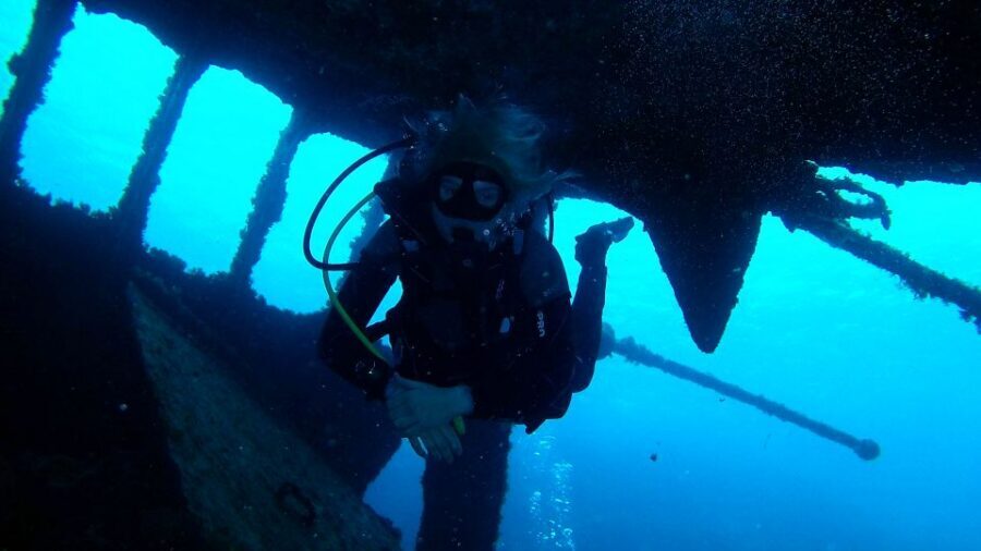 Tenerife: 2 Diving Sessions for Certified Divers - Marine Life Odds: Fish, Rays, Turtles, and Cephalopods