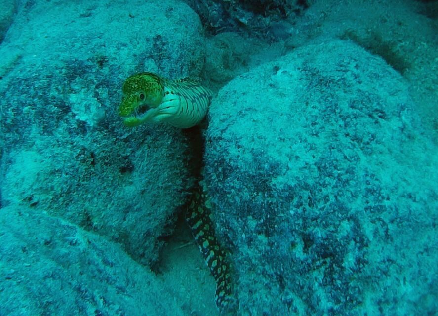Tenerife: 2 Diving Sessions for Certified Divers - Packing Tips That Actually Save Time