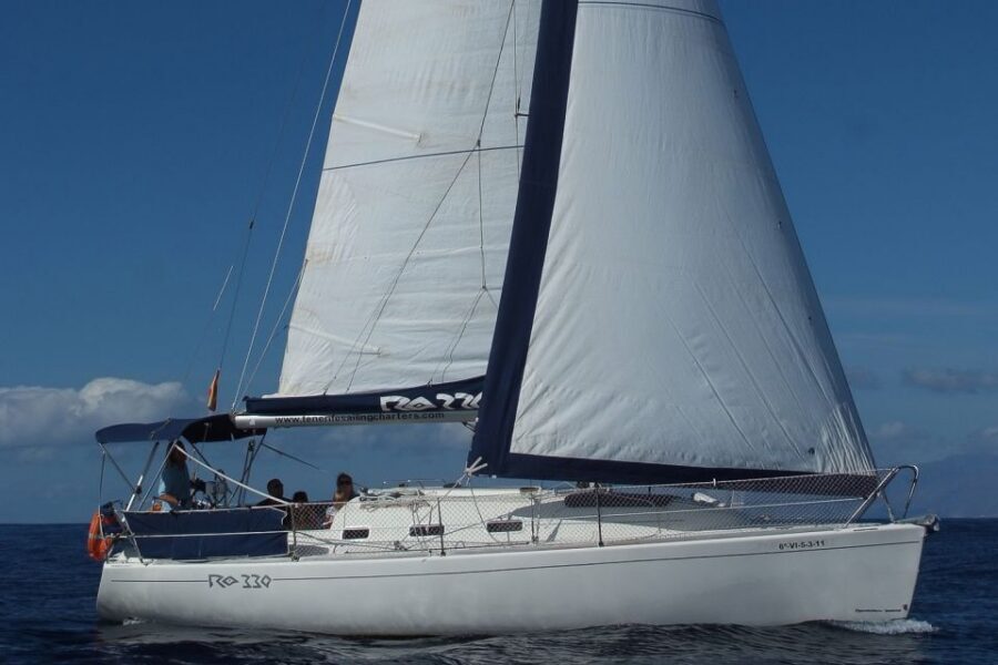 Tenerife: 3 &-6 Hour Private Whale & Dolphin Watching - The 6-Hour Rhythm: Cruising, Coast Views, and Swim Time