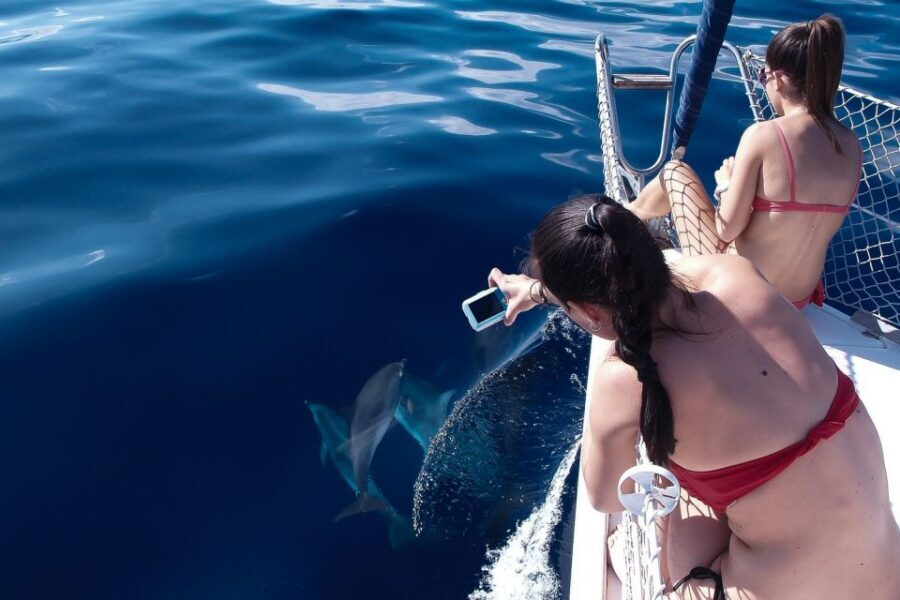 Tenerife: 3 &-6 Hour Private Whale & Dolphin Watching - What to Bring (and What to Leave Alone)