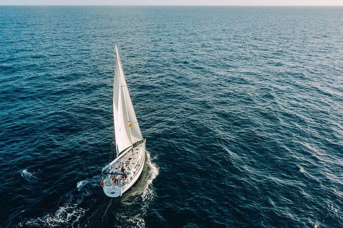 Tenerife 3-Hour Discover Whales and Dolphins - On-board food and drinks: simple, plentiful, and actually timed well
