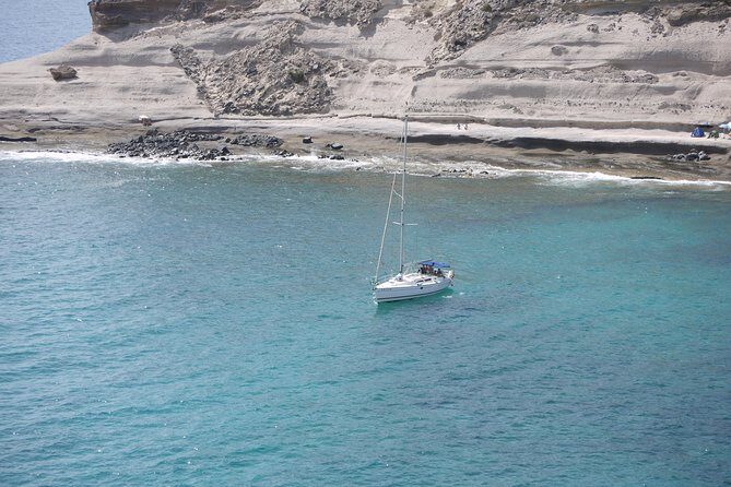 Tenerife 3-Hour Discover Whales and Dolphins - La Caleta de Adeje: the snorkel-and-swim moment you’ll remember