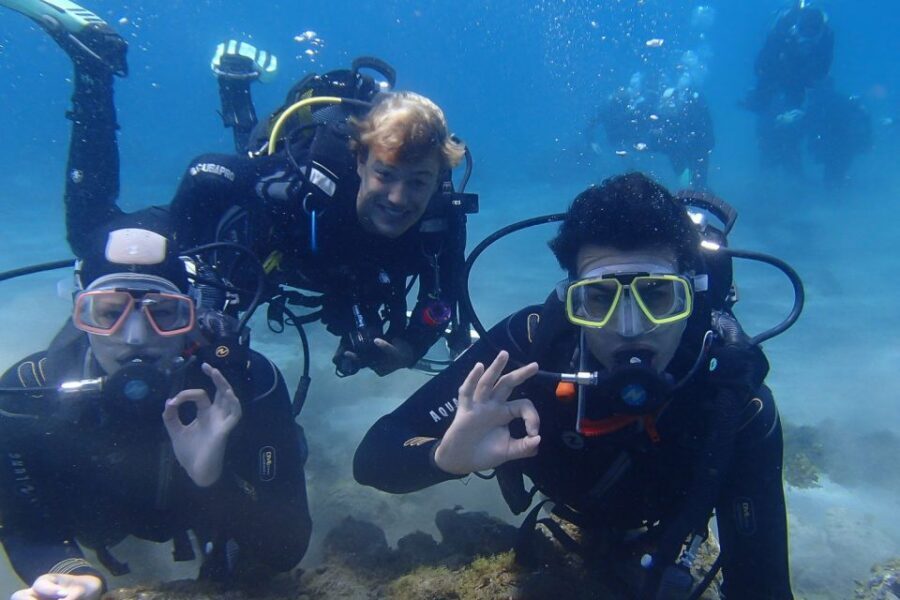 Tenerife: Abades Beach Beginner Diving Experience - Snorkeling afterward: a second chance to see fish