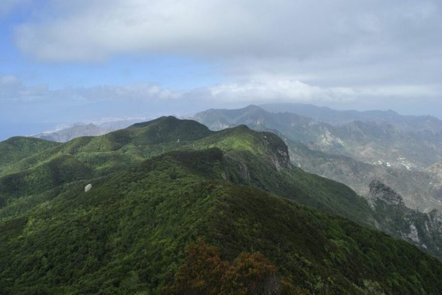 Tenerife: Anaga UNESCO VIP TOUR - Anaga Laurel Forest: What You’re Actually Getting Out of the Nature Time