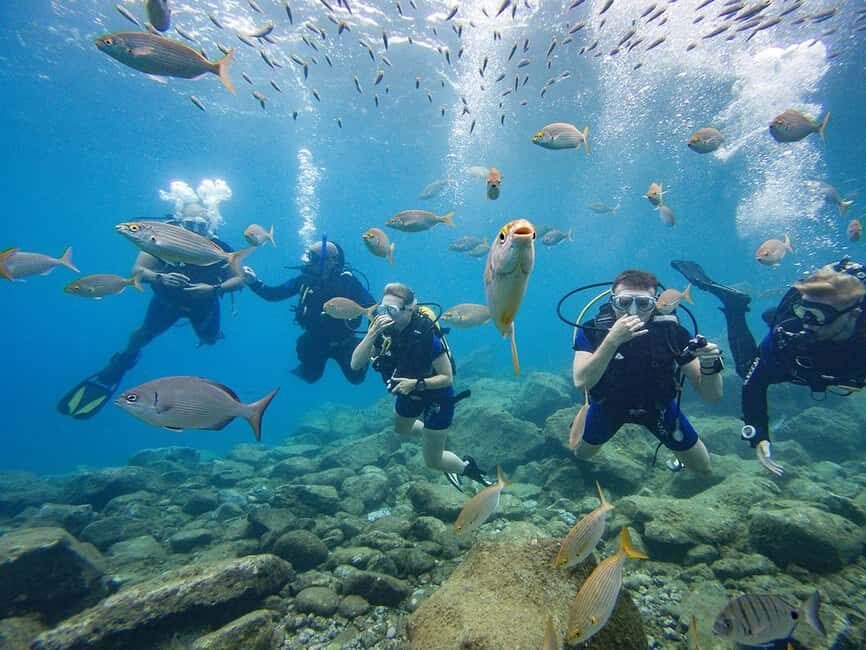 Tenerife: Beginner Scuba Diving Experience with Pickup - Key Things I’d Focus On Before You Go