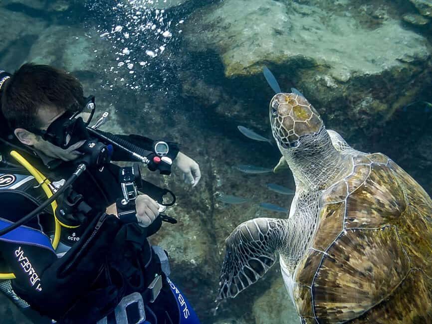 Tenerife: Beginner Scuba Diving Experience with Pickup - A First Underwater Breath in Tenerife’s El Fraile Waters