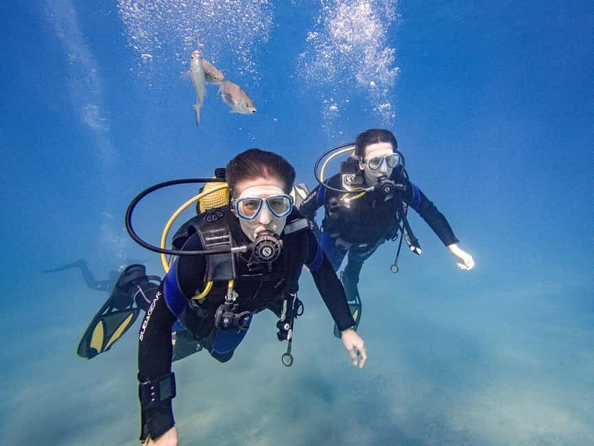 Tenerife: Beginner Scuba Diving Experience with Pickup - What You’ll Do Underwater (and Why the Shallow Start Works)