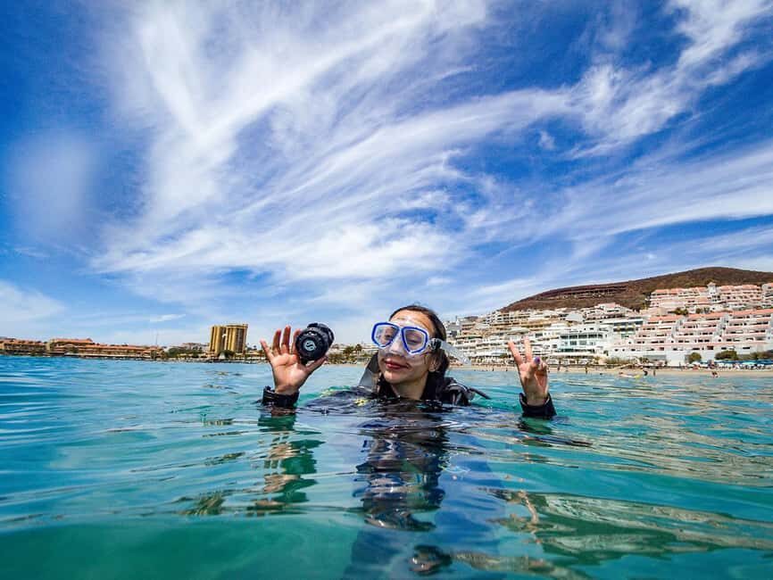 Tenerife: Beginner Scuba Diving Experience with Pickup - Marine Life You Can Reasonably Hope to See