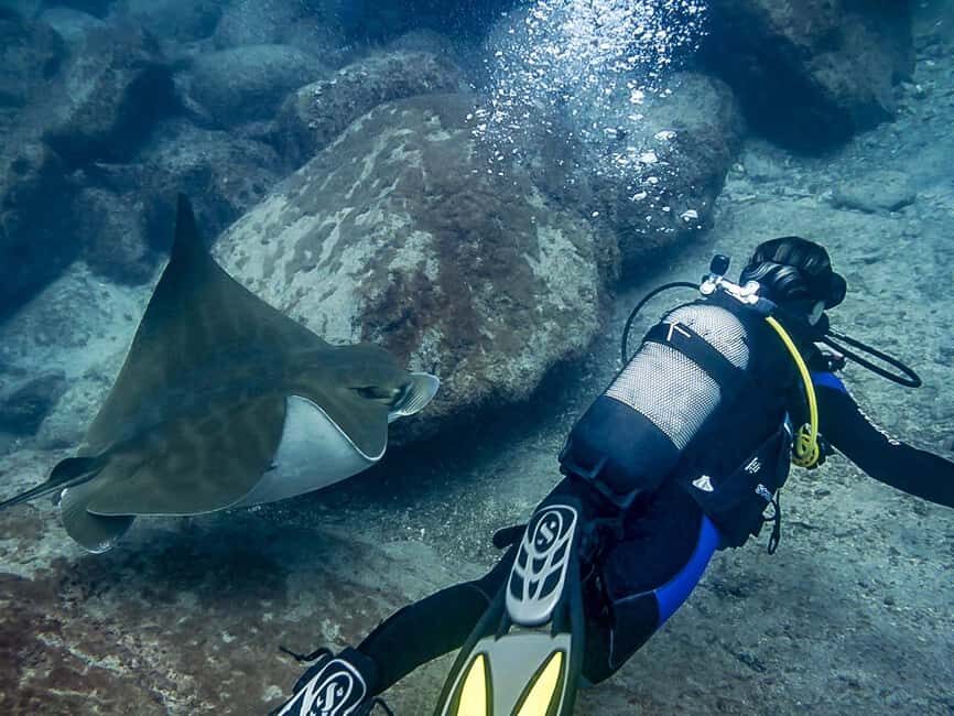 Tenerife: Beginner Scuba Diving Experience with Pickup - Your Guide and Equipment: Comfort, Control, and Staying Safe