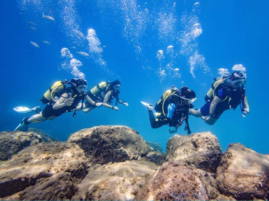 Tenerife: Beginner Scuba Diving Experience with Pickup - Price ($67) and Why This Is Decent Value for First-Timers
