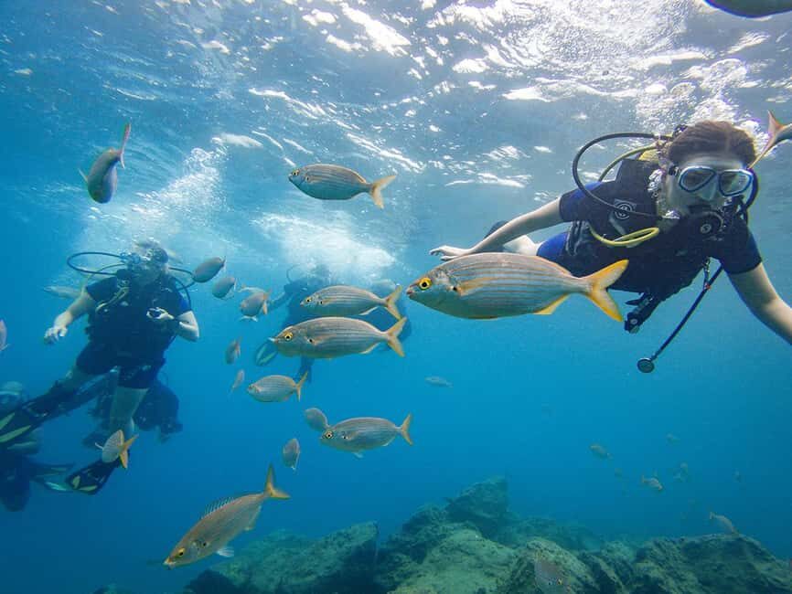 Tenerife: Beginner Scuba Diving Experience with Pickup - Where You’ll Start: C. las Lagunetas, 2 (and Why Pickup Matters)