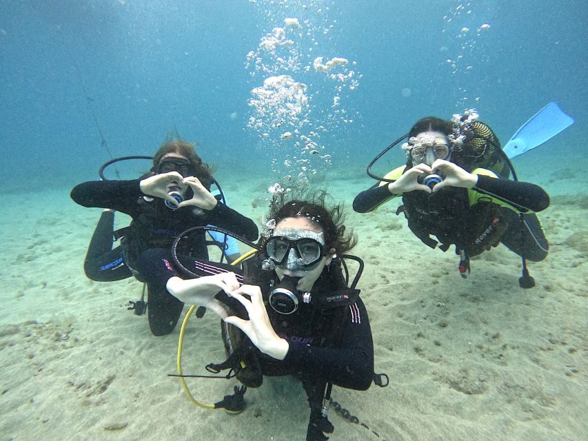 Tenerife: Beginner's Dive at a Spot with Turtle Sightings - What Makes This Beginner Scuba Session Work in Real Life