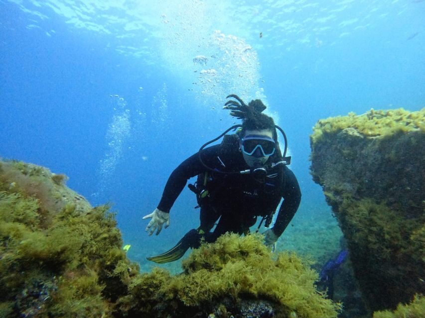 Tenerife: Beginner's Dive at a Spot with Turtle Sightings - What to Bring and How to Prep (Swimwear Is Only the Start)
