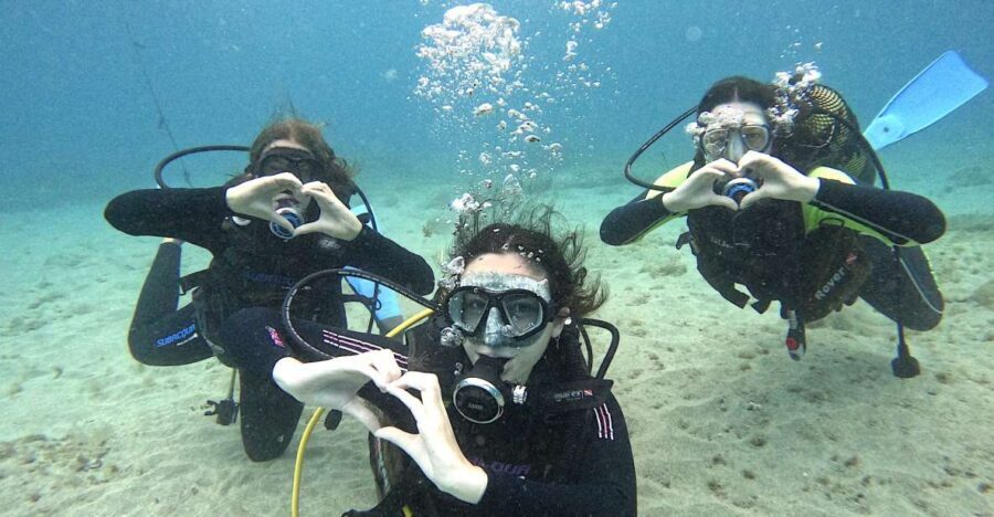 Tenerife: Beginner's Dive at a Spot with Turtle Sightings - First Stop in Puerto Colón: Zero Gravity Tenerife and a Safety Briefing You Can Actually Use