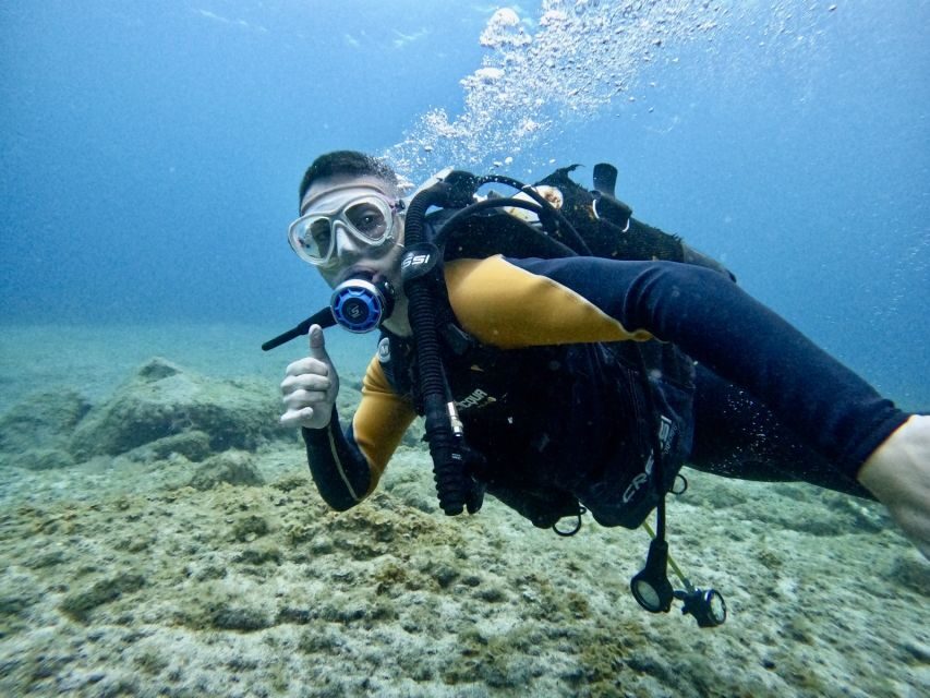 Tenerife: Beginner's Dive at a Spot with Turtle Sightings - Gear, Water Entry, and the 45 Minutes Under the Surface (10-Meter Limit)