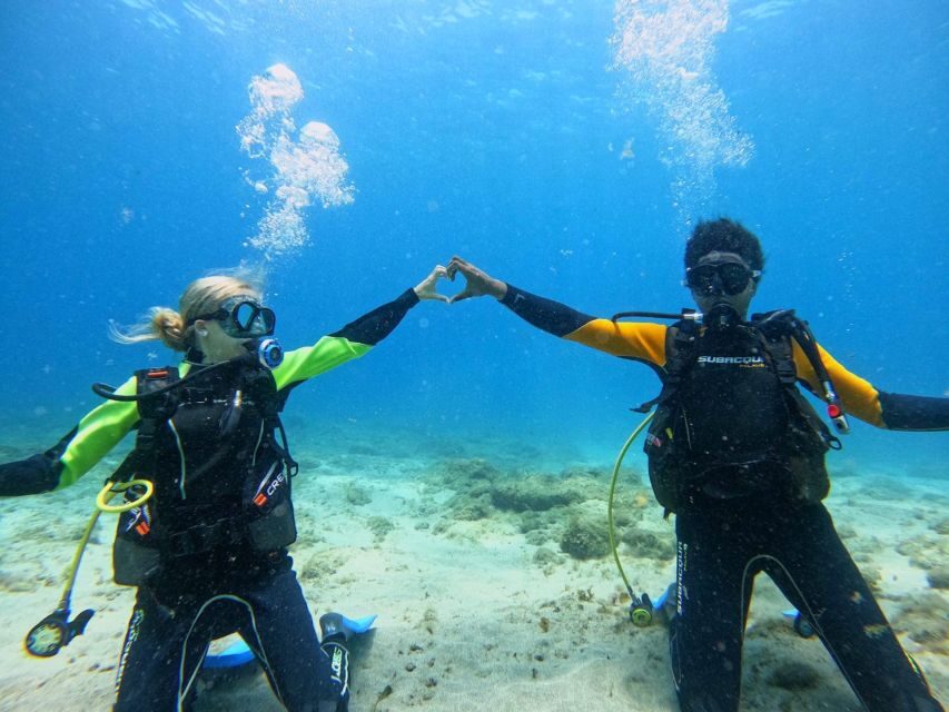 Tenerife: Beginner's Dive at a Spot with Turtle Sightings - Snorkeling While Others Stay Submerged: A Smart Bonus for Beginners