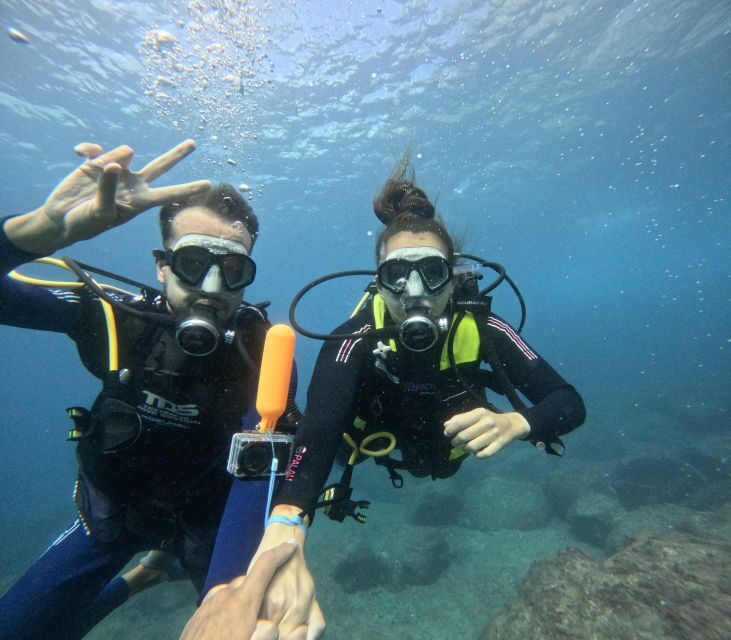 Tenerife: Beginner's Dive at a Spot with Turtle Sightings - Timing Breakdown: How to Schedule Your Day Around 2 Hours