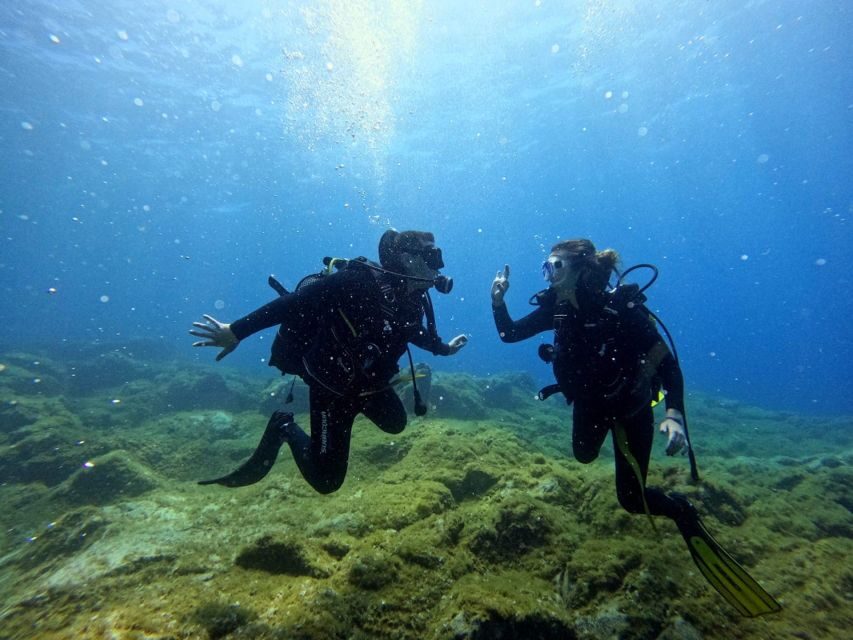 Tenerife: Beginner's Dive at a Spot with Turtle Sightings - Price and Value: Is $82 Worth It for a First-Timer Session?