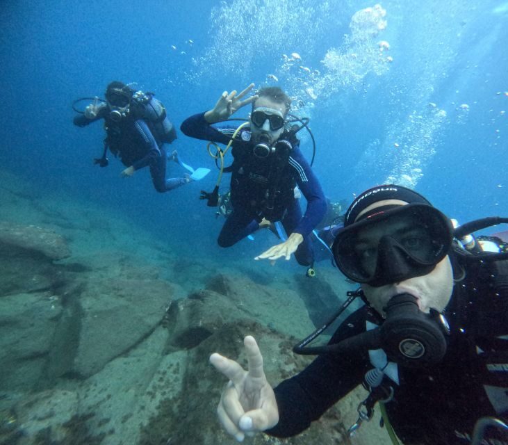 Tenerife: Beginner's Dive at a Spot with Turtle Sightings - The Speedboat Ride Along Tenerife’s Southern Coast: Short Trip, Big View