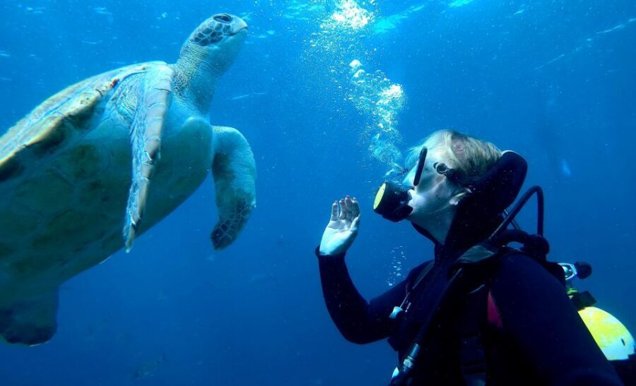 Tenerife: Beginners Scuba Dive Experience in Turtle Area - Quick packing list for Tenerife salt air
