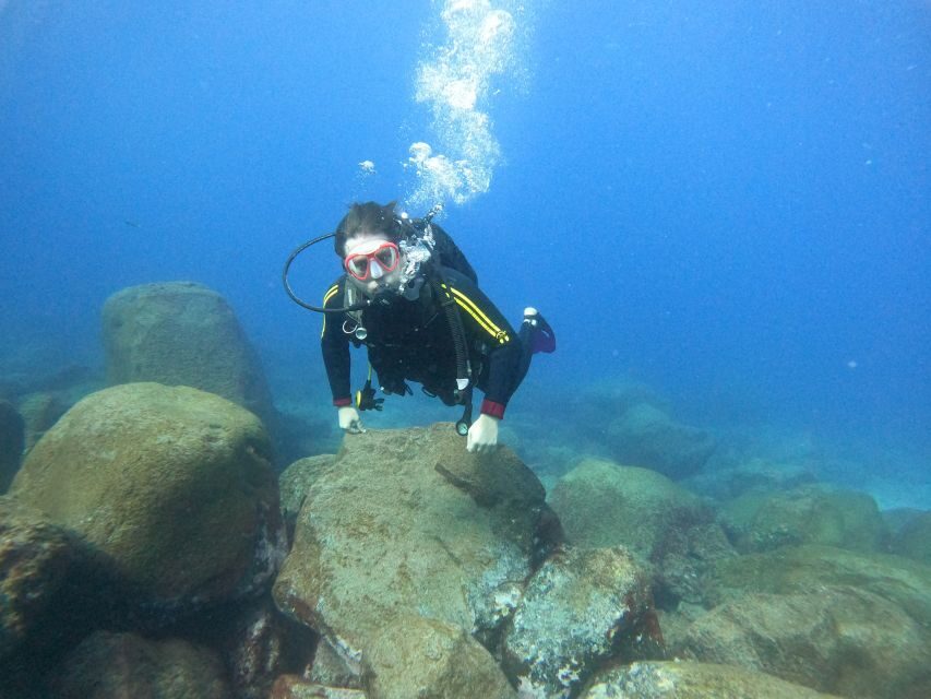 Tenerife: Beginners Scuba Dive Experience in Turtle Area - Safety briefing that doesn’t feel like homework