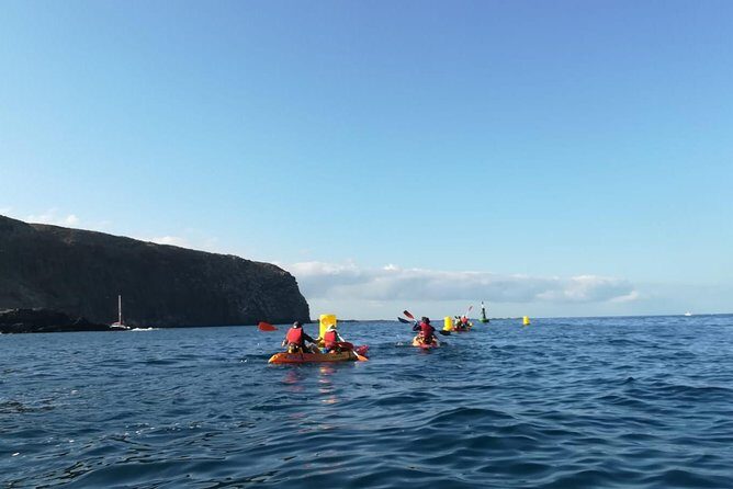 Tenerife by Kayak Adventure in small group - Key highlights worth knowing before you go