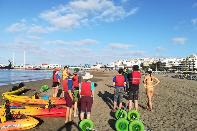 Tenerife by Kayak Adventure in small group - Dolphins around the kayaks: the spotting tips that matter