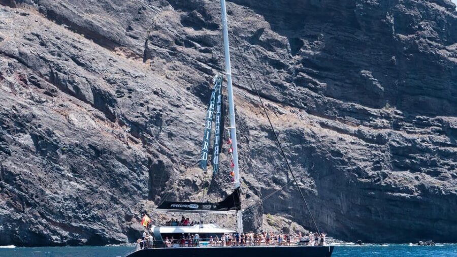 Tenerife: Catamaran Cruise with an Open Bar - Masca Bay Swim: Easy Steps, Refreshing Water, Real Break Time