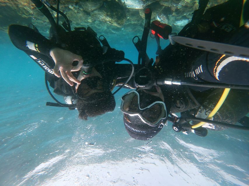 Tenerife: Costa Adeje Private Diving Lesson Experience - What to Bring (So You’re Not Rushing at the Start)