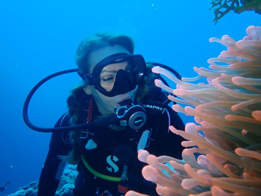 Tenerife: Costa Adeje Private Diving Lesson Experience - Your Underwater Session: Following the Instructor and Building Control
