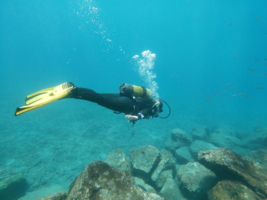 Tenerife: Costa Adeje Private Diving Lesson Experience - Wildlife and Underwater Scenery: What You Might See Around Costa Adeje
