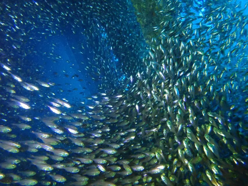 Tenerife: Costa Adeje Private Diving Lesson Experience - Who This Private Scuba Lesson Suits Best (and Who Should Skip It)