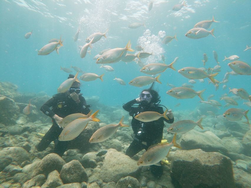 Tenerife: Costa Adeje Private Diving Lesson Experience - Meeting the Scuba Team at the Commercial Center