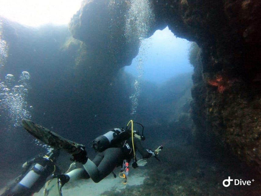 Tenerife - Discover Scuba Diving Experience with Instructor - Price and value: why $91 can make sense for first-timers
